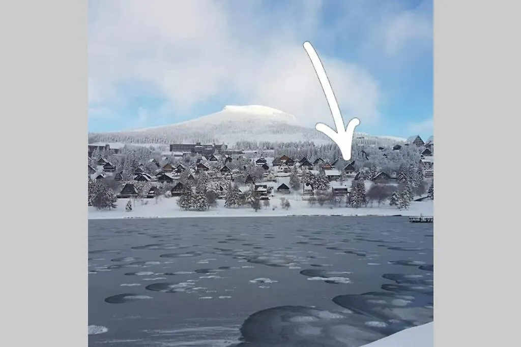 Authentique Chalet Vue Sur Le Lac Et Les Pistes Besse-et-Saint-Anastaise