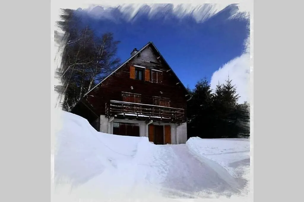 Authentique Chalet Vue Sur Le Lac Et Les Pistes Besse-et-Saint-Anastaise France